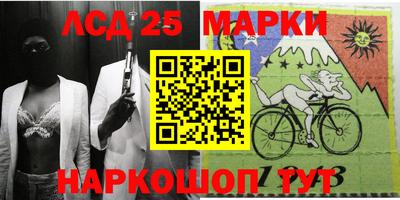 спайс Гатчина