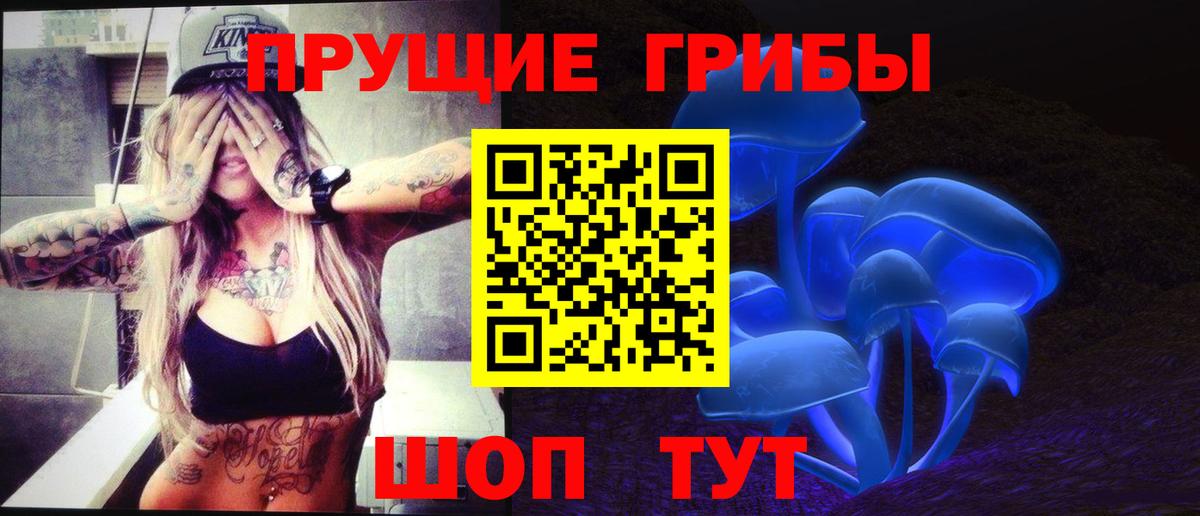Галлюциногенные грибы Cubensis Избербаш